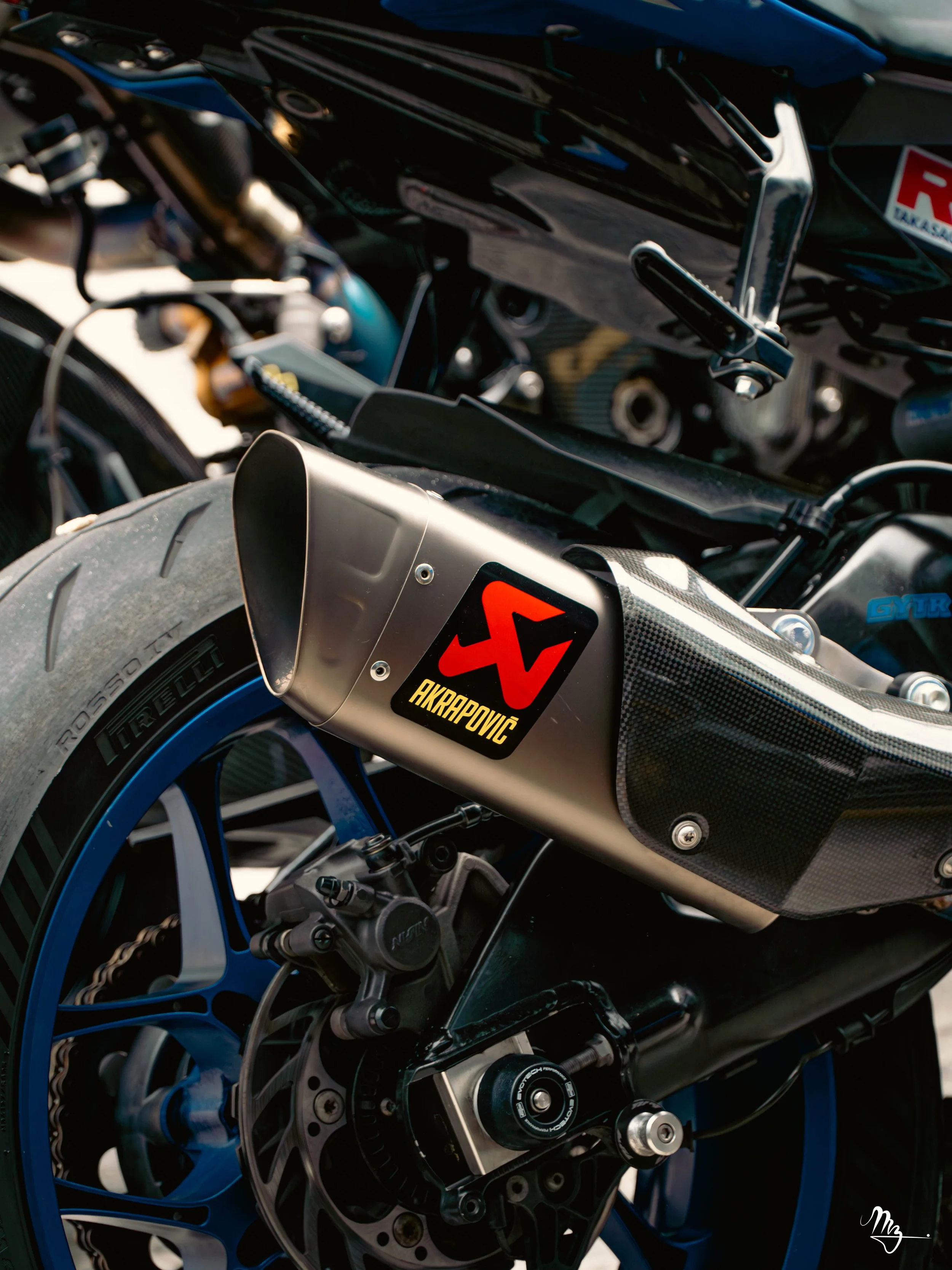 MZ101553-Enhanced-NR.jpg