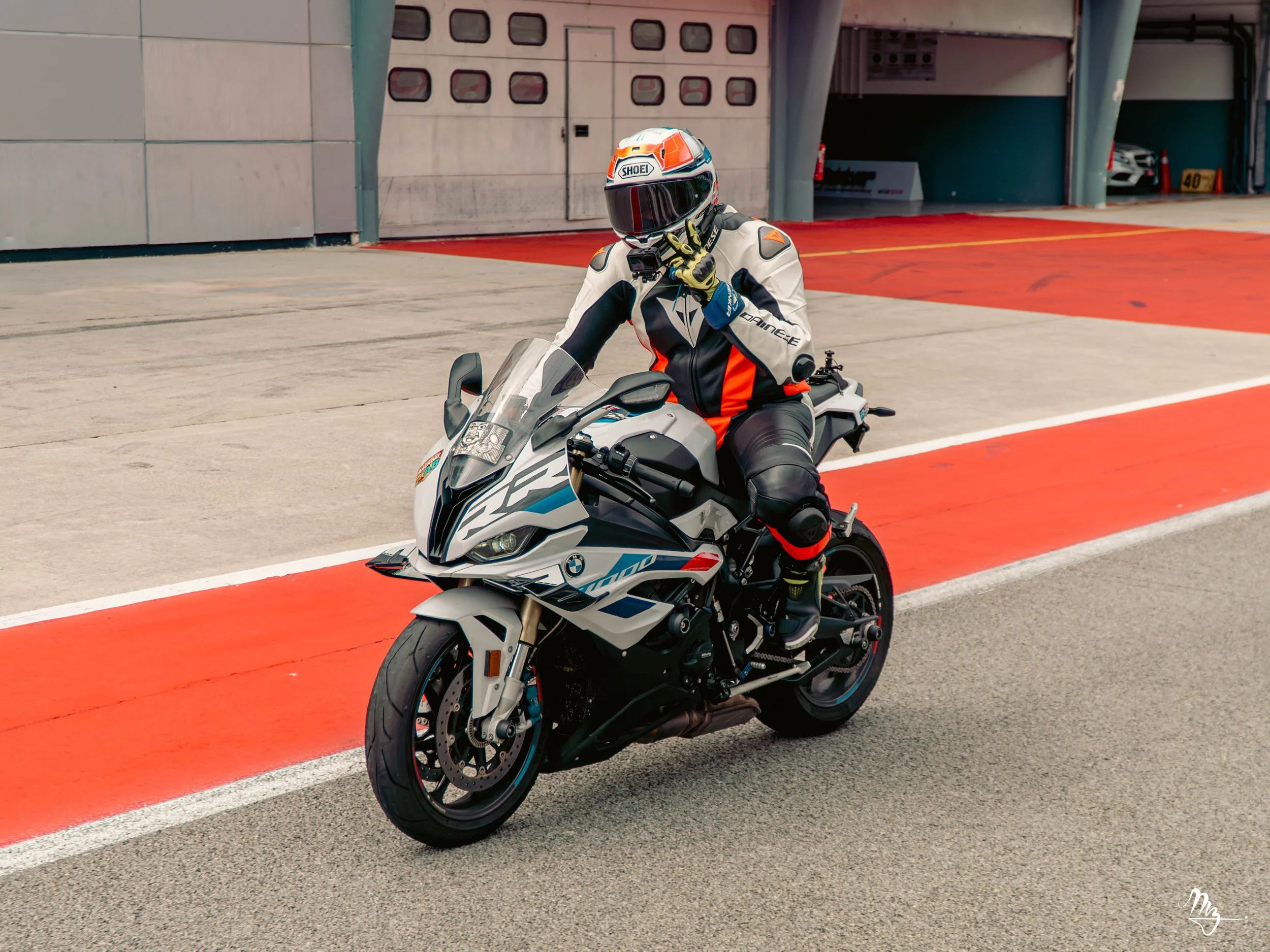 MZ101986-Enhanced-NR.jpg