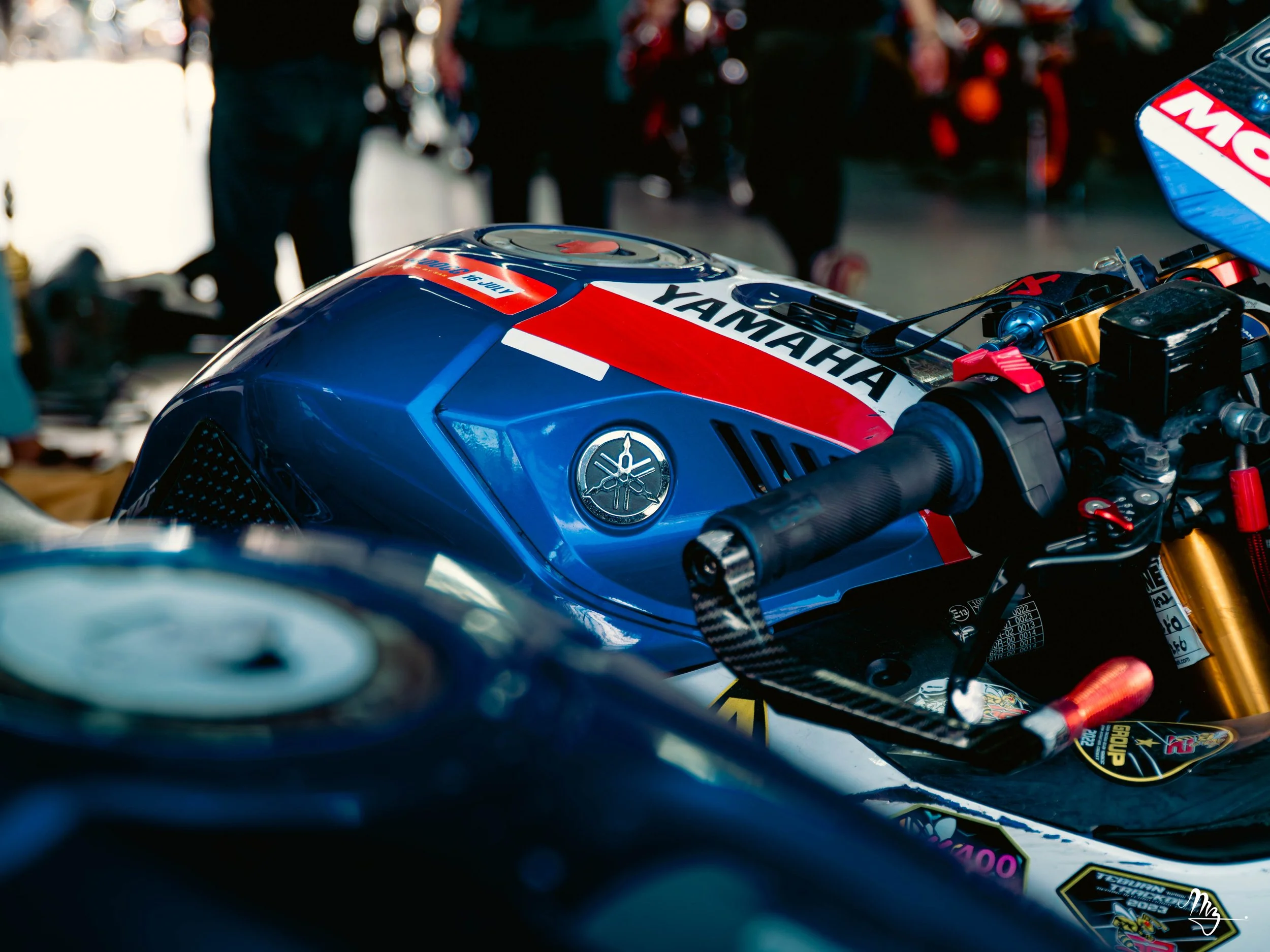 MZ101087-Enhanced-NR.jpg