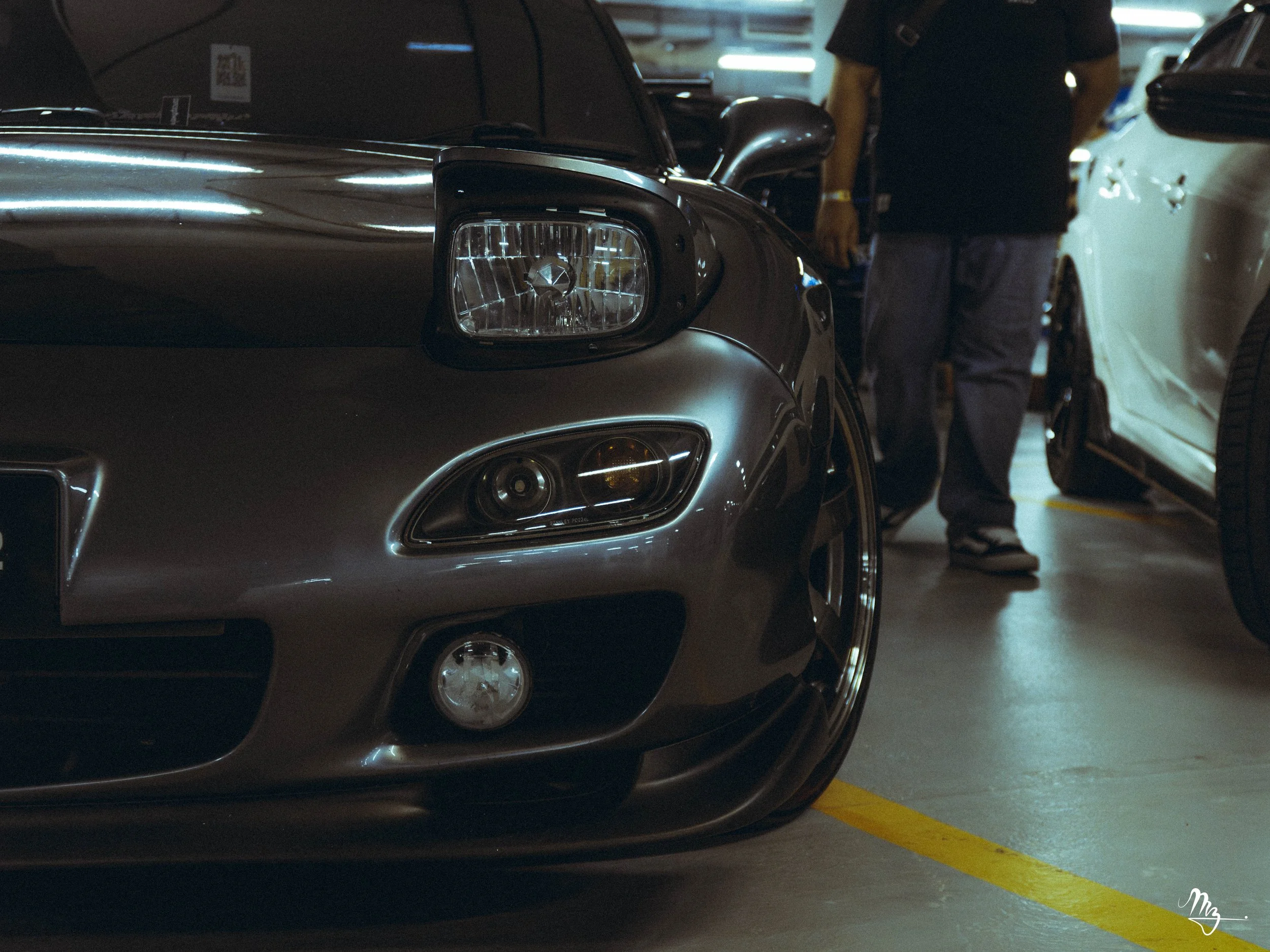 MZ105833-Enhanced-NR.jpg