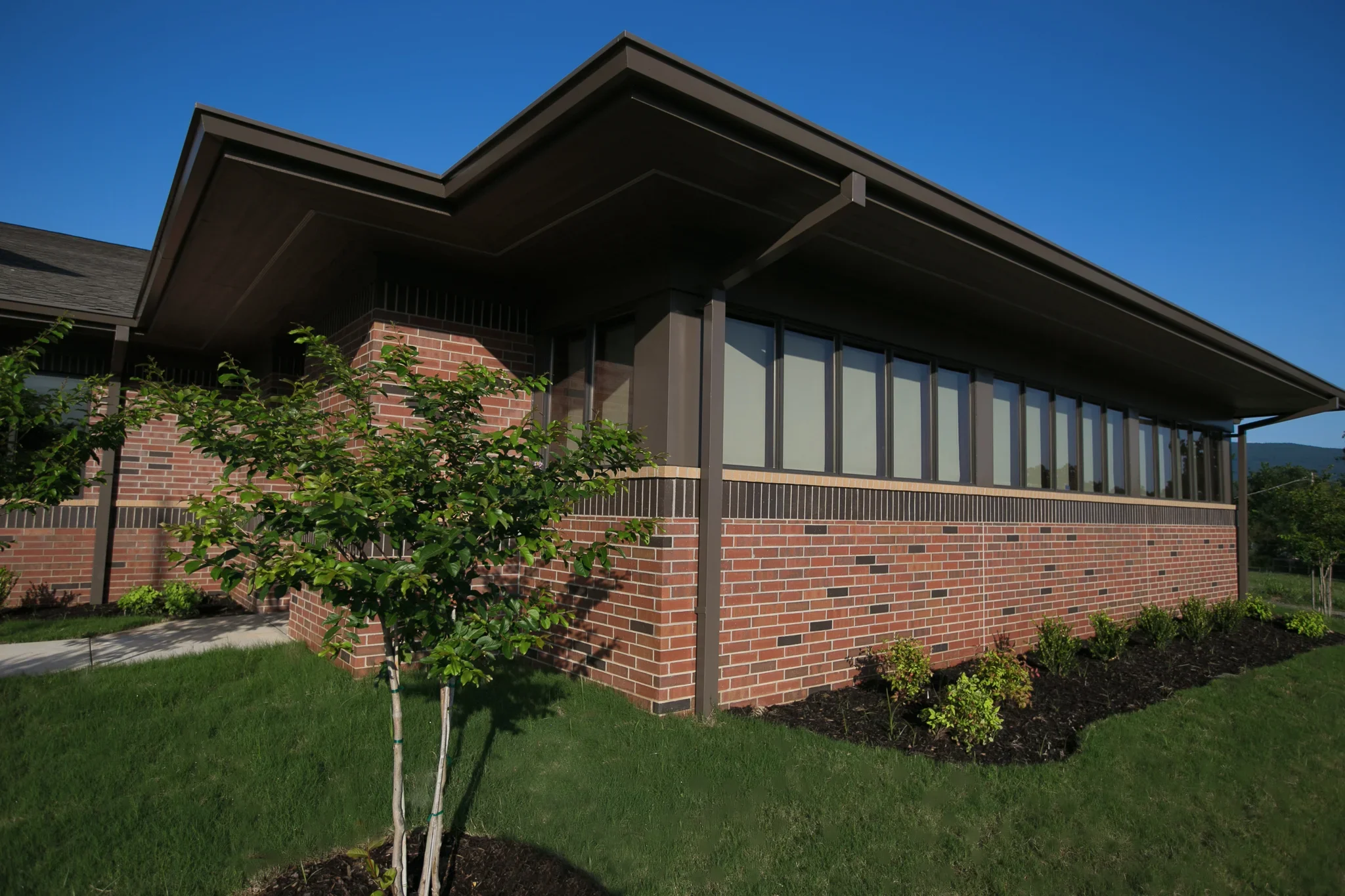 A modern brick house with large windows and a dark brown roof, surrounded by a manicured lawn and small bushes, under a clear blue sky.