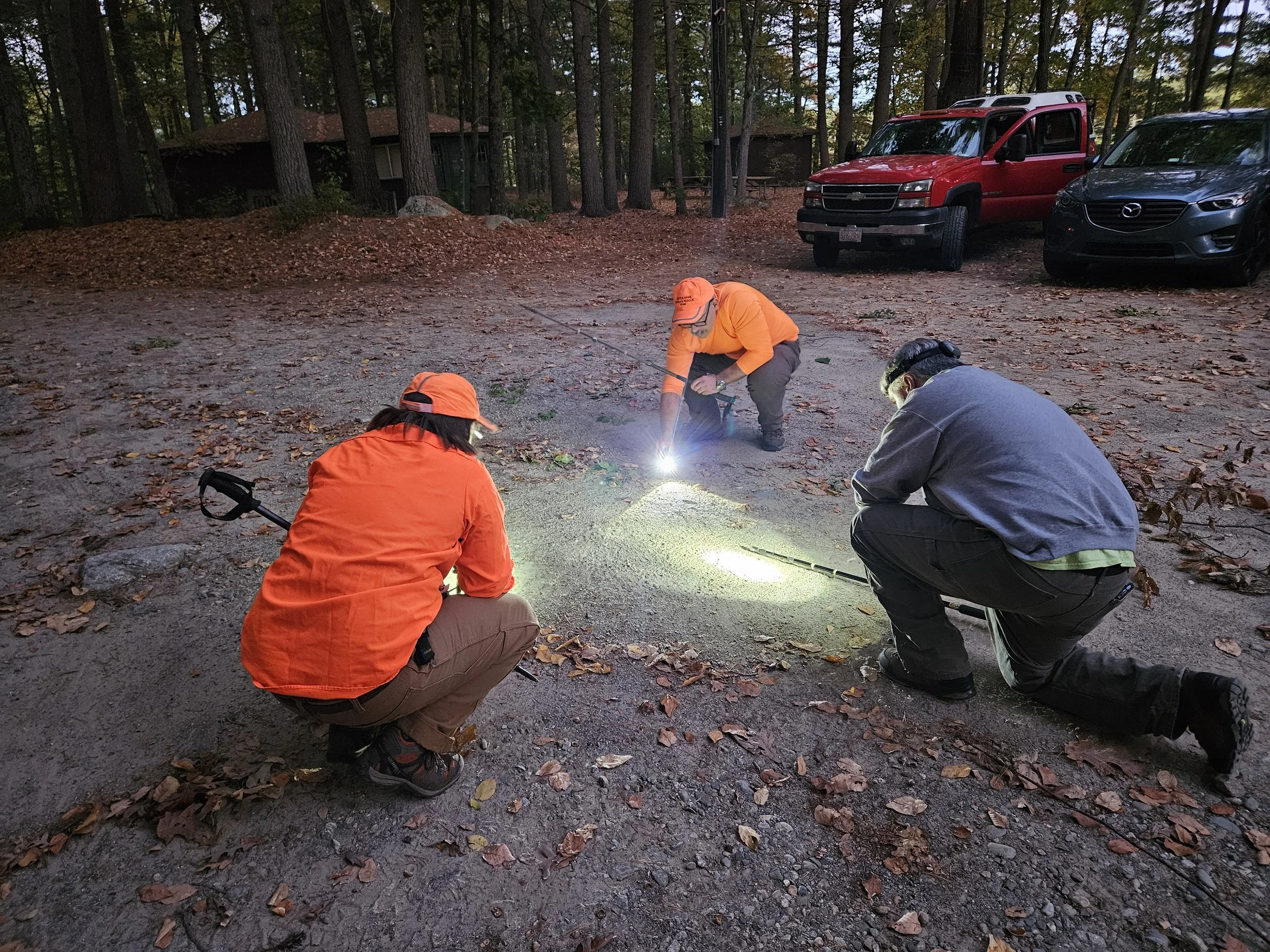 20241005_183336 (1).jpg