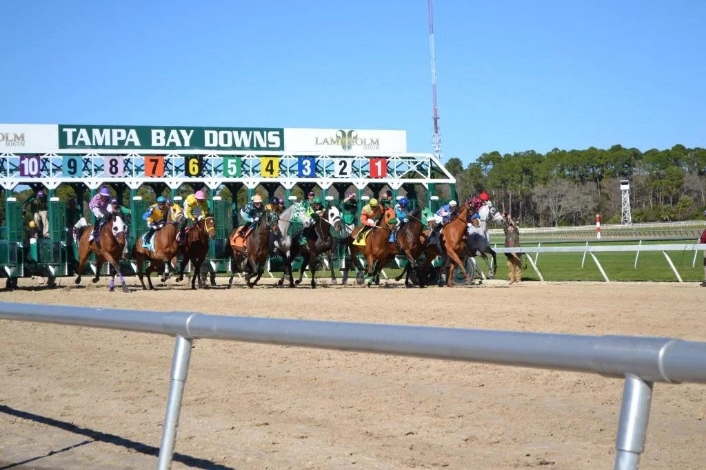 Oldsmar Annual Cup Race 