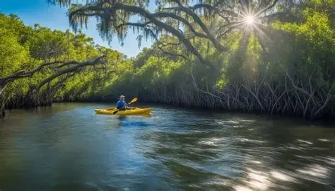 Kayaking Upper Tampa Bay: An Oldsmar Local's Guide
