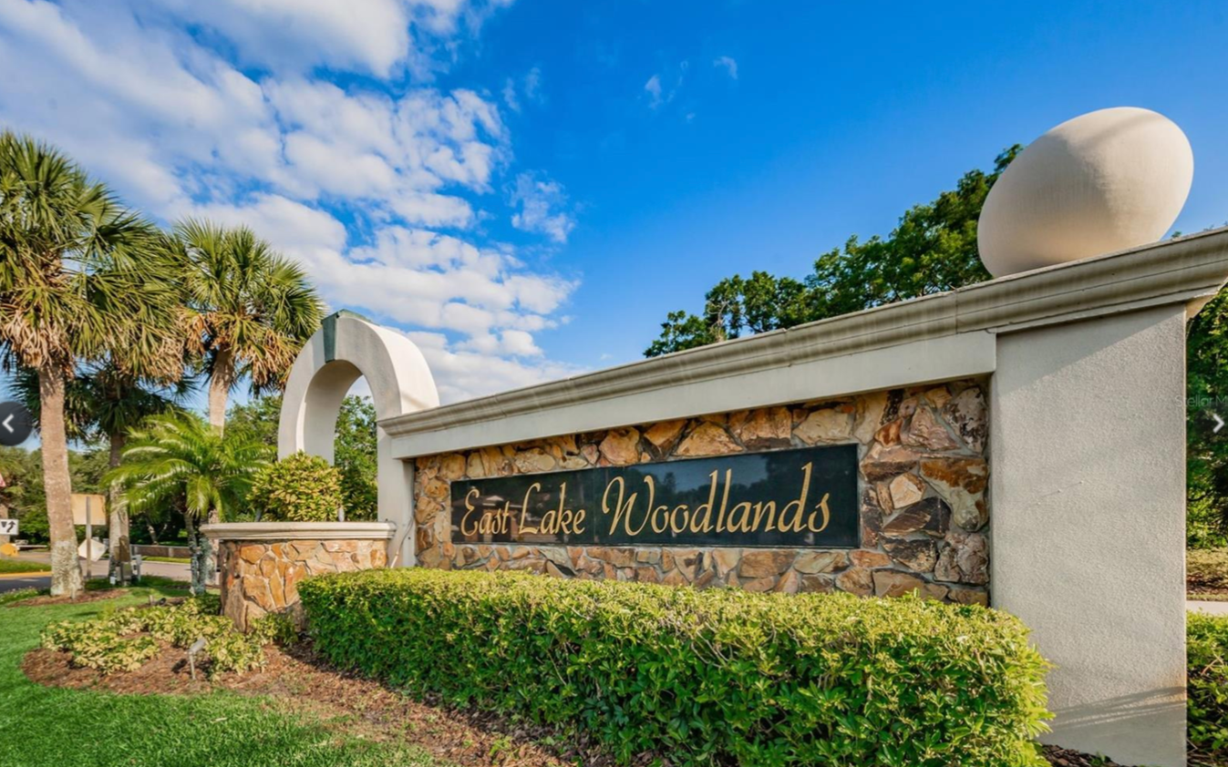 Lakeshore Vista - East Lake Woodlands