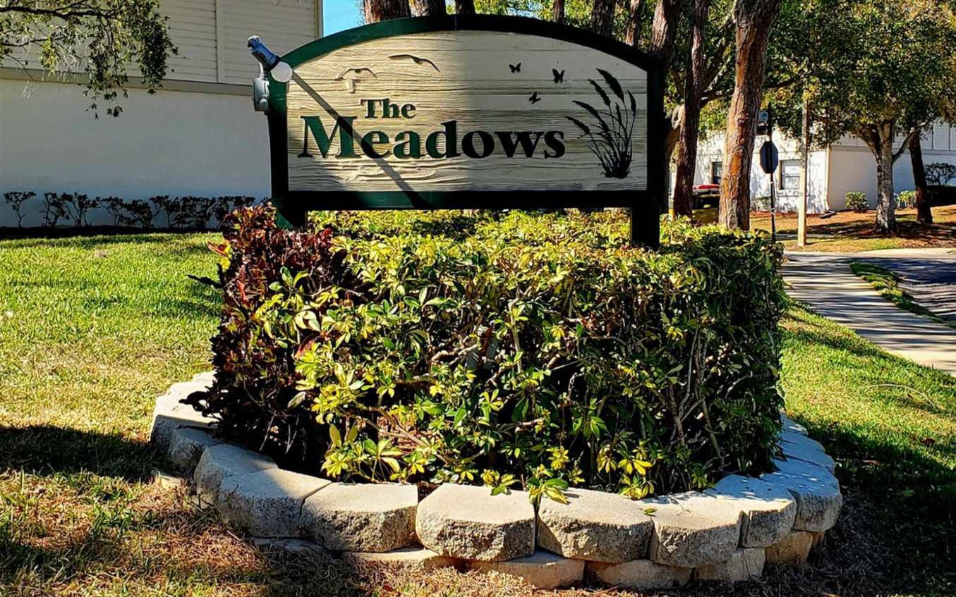 The Meadows - East Lake Woodlands