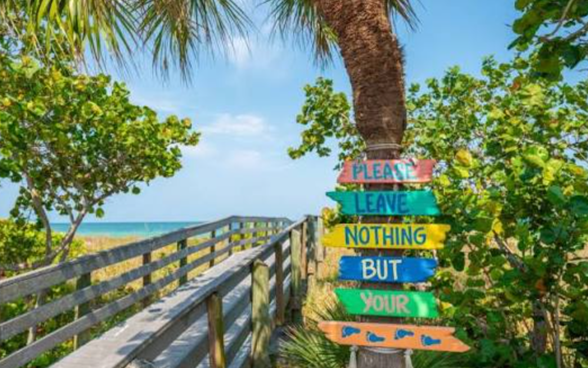 Best Beaches Near Oldsmar, FL: A Local's Guide to Sun, Sand &amp; Gulf Water