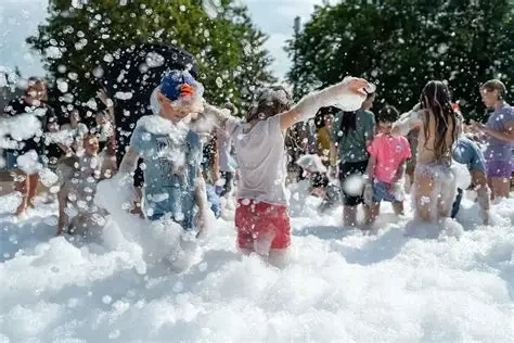 Party in the Park - Sheffield Park, Oldsmar