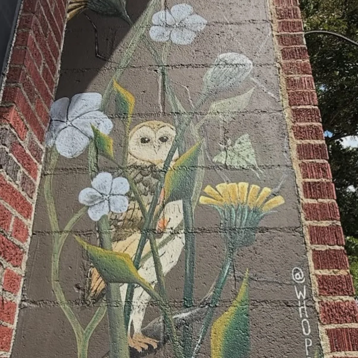 Come see us at our new shop, White Creek!  Located in The Shops of LAM, in downtown Landrum, SC