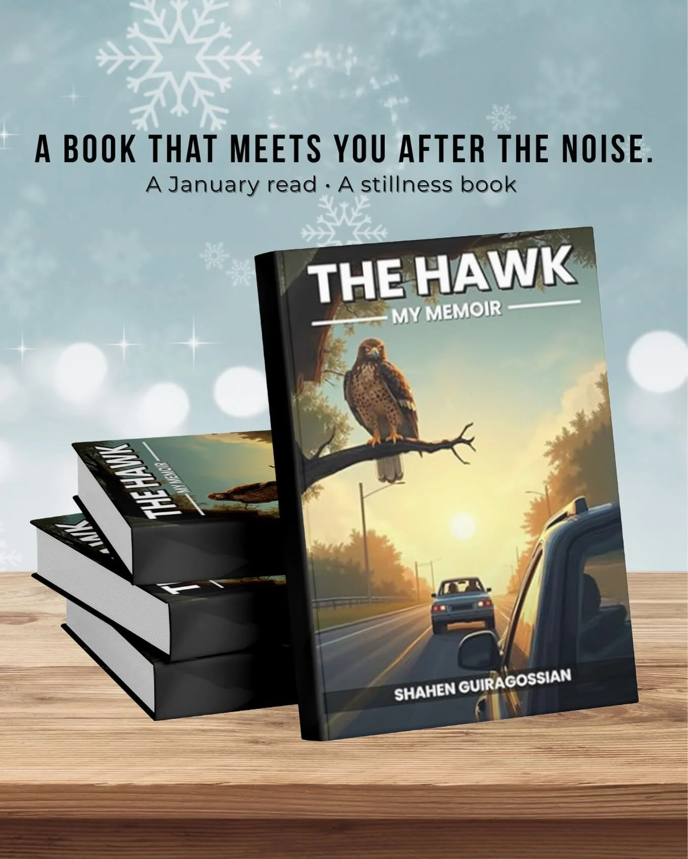 The holidays bring noise.
January brings space.

The Hawk is a book for the quiet that comes after &mdash;
after the gatherings, after the conversations, after the year closes.

It&rsquo;s a story of memory, endurance, and the histories that live wit