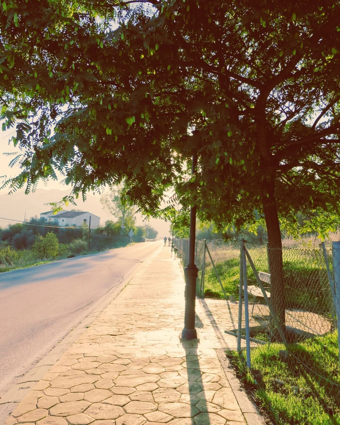 Not every kind of strength announces itself. Some of it moves quietly, stays steady, and does what needs to be done without asking to be seen.

Over time, I learned that the people who matter most aren&rsquo;t always the loudest in the room. They&rsq