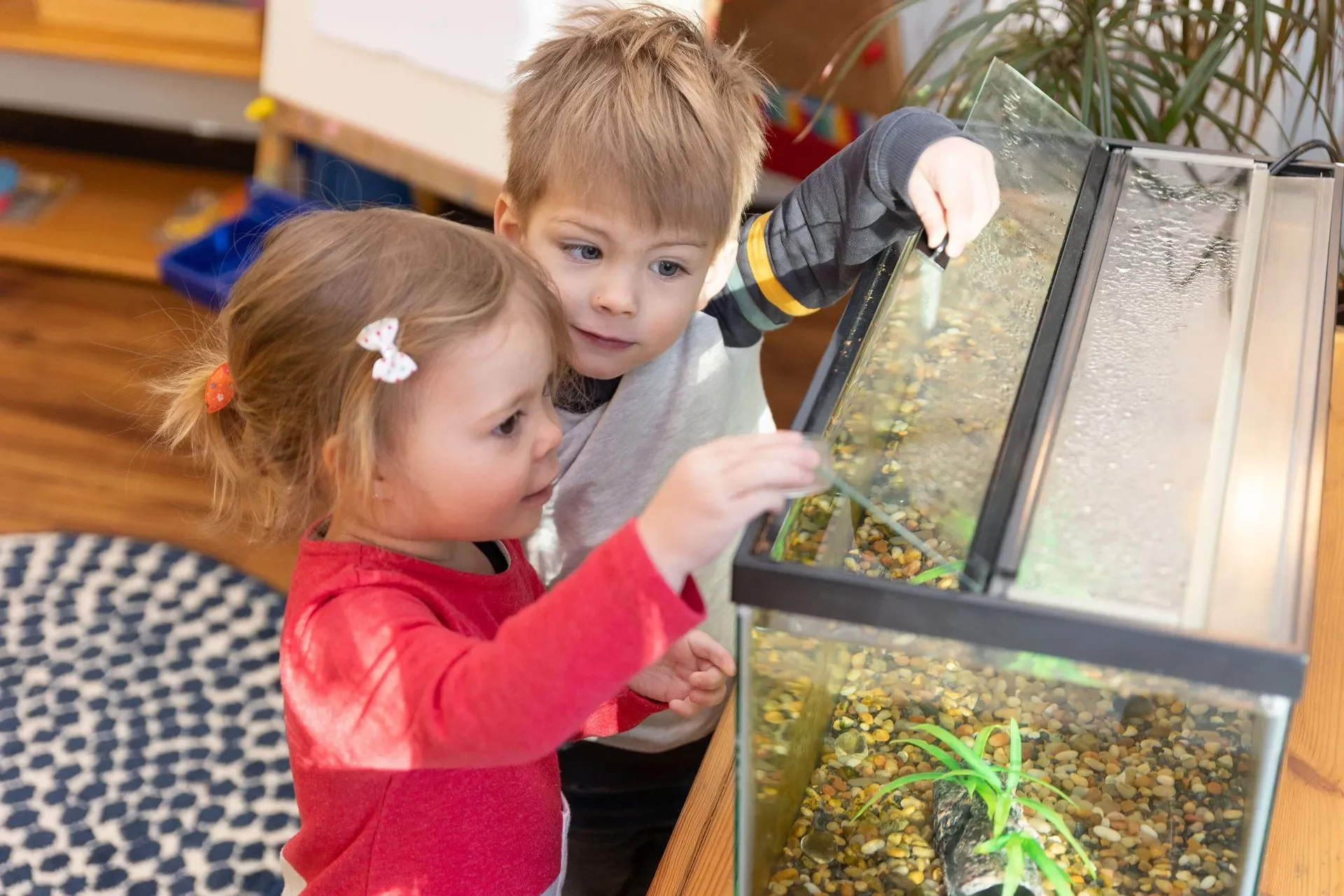 Freedom Within Limits: Discipline and Taming Tantrums in the Montessori Tradition