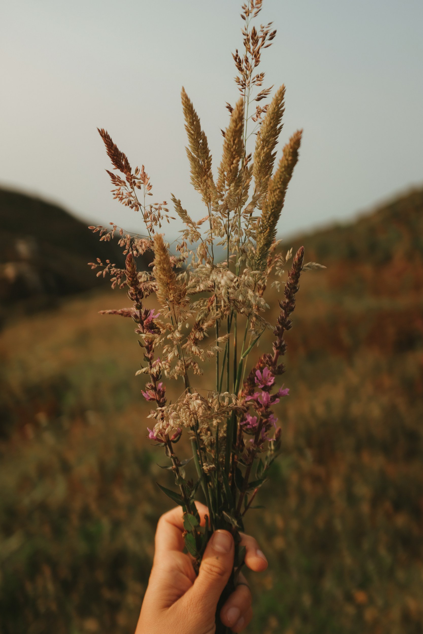 A person holding a bouquet of wildflowers, including tall grasses and purple flowers, with a blurred outdoor landscape in the background.