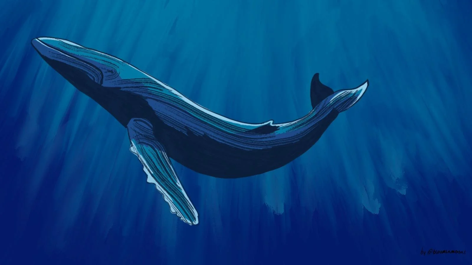 Illustration of a humpback whale swimming in the ocean with rays of light filtering down from above.