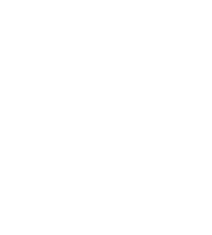 Two Guys With A Ladder