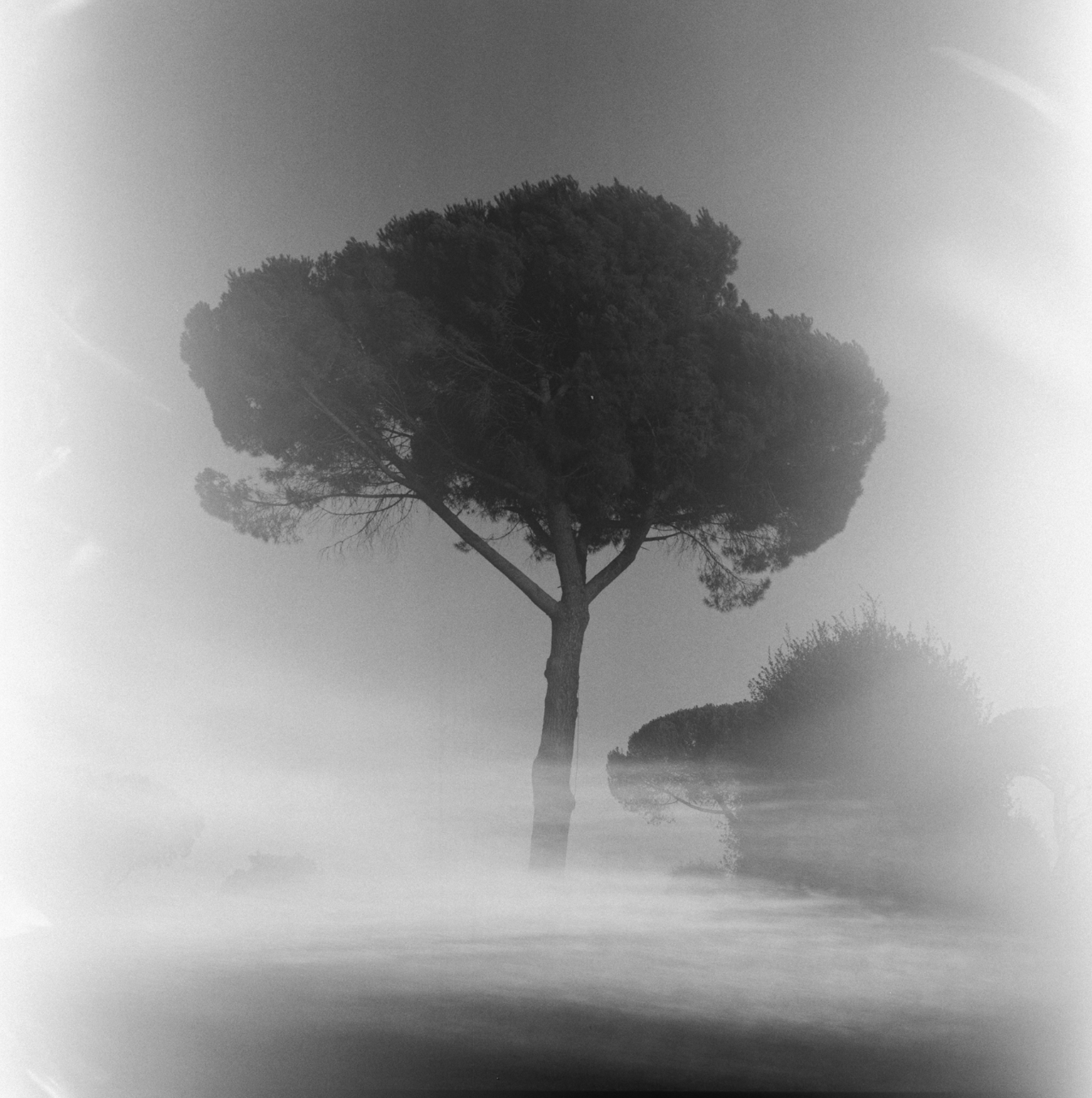 Screenshot 2025-09-11 at 11.16.14 AM.png