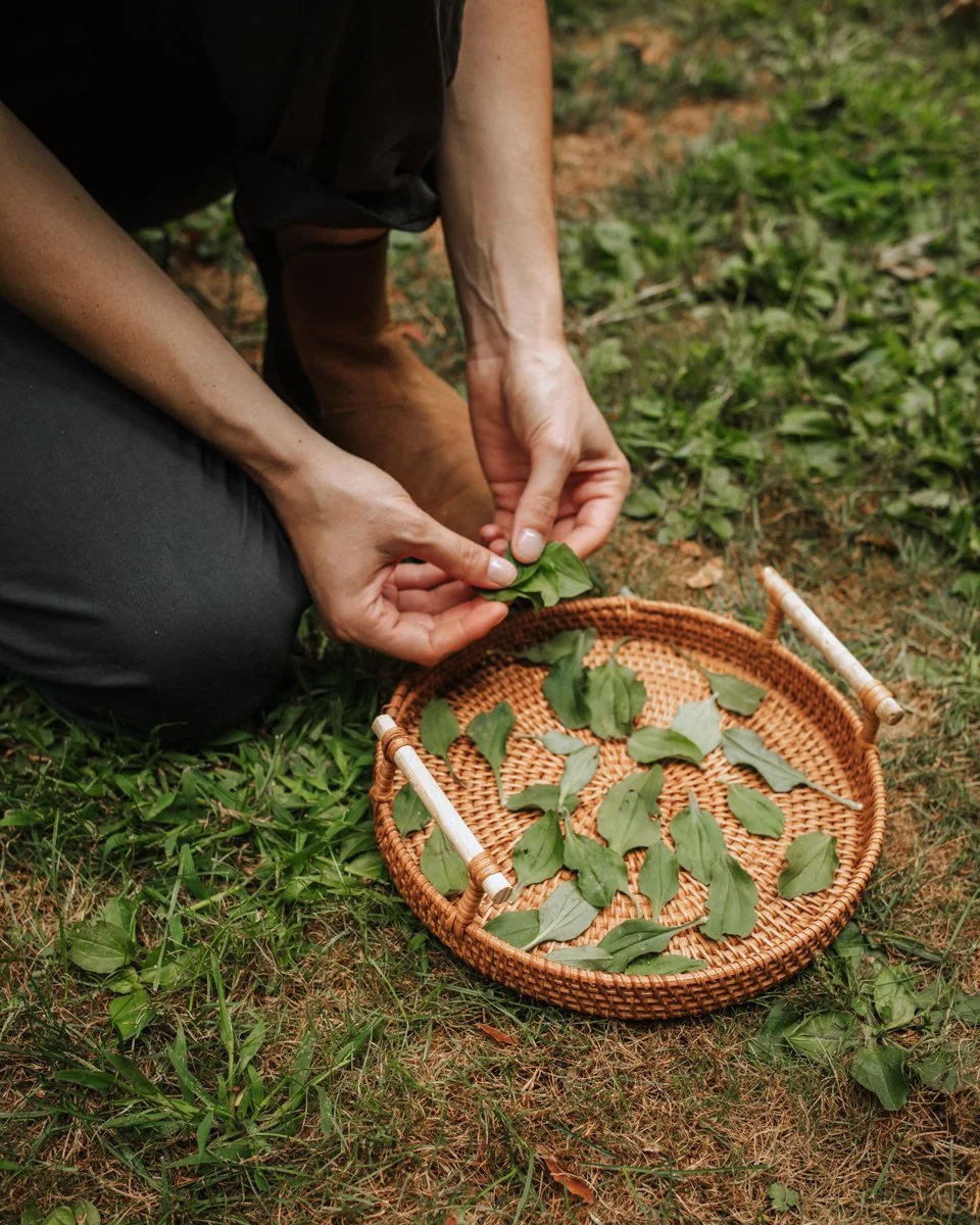 The Art of Wildcrafting