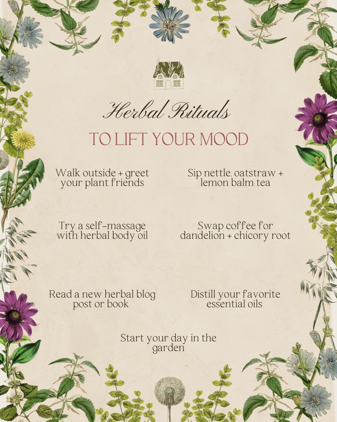 When Monday rolls around, it&rsquo;s easy to feel a little off. Whether you're easing into the week or jumping straight into to-dos, herbal practices can help you feel more grounded, focused, and supported. 🌿✨

Here are a few of our favorite ways to