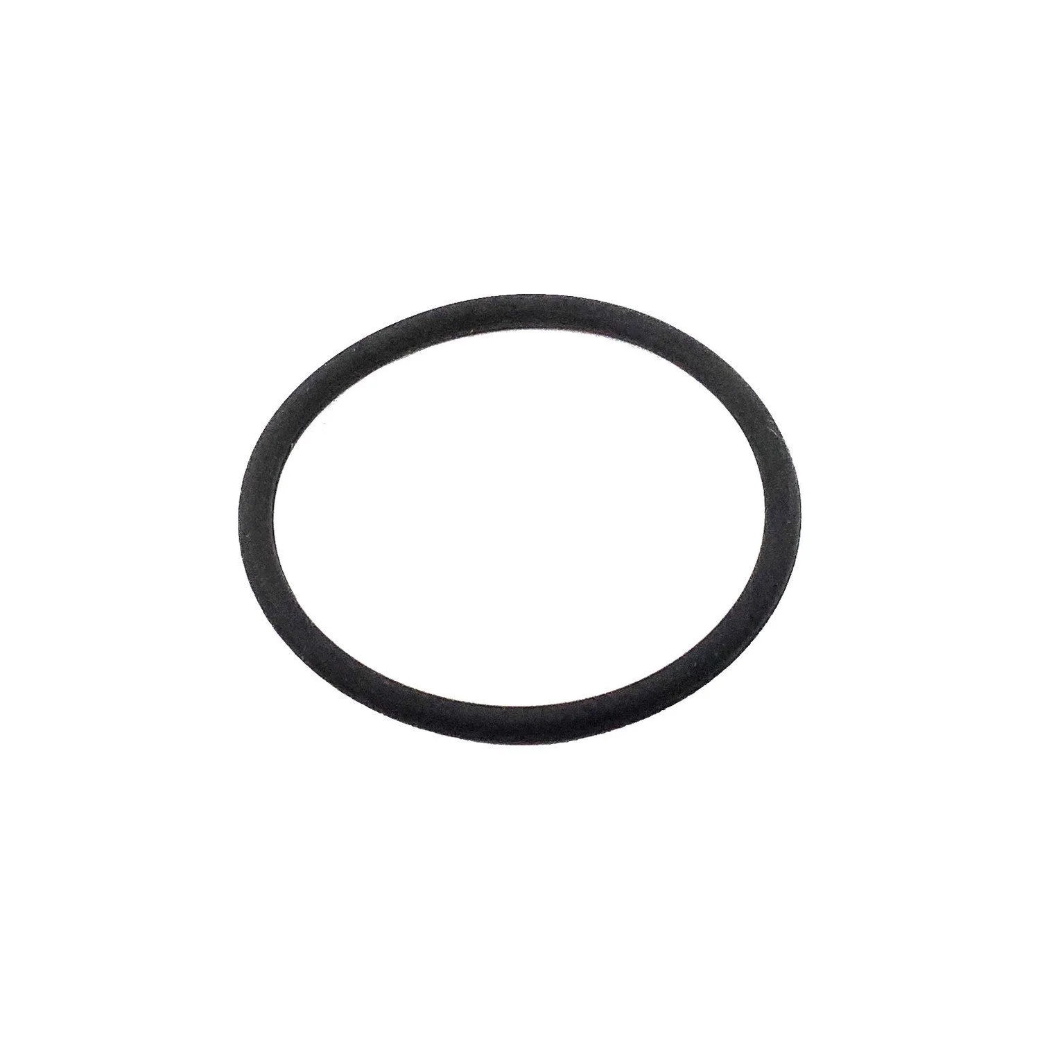 Muncie- O-Ring (12T35577)