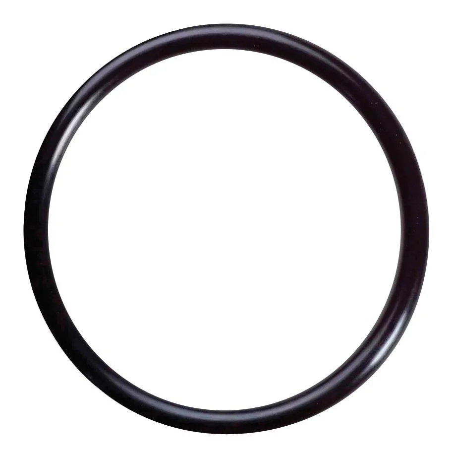 Muncie - O-Ring ( 12T35621)