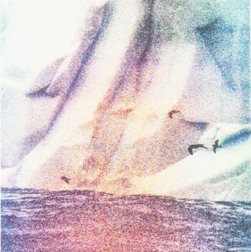 Patricia Carr Morgan