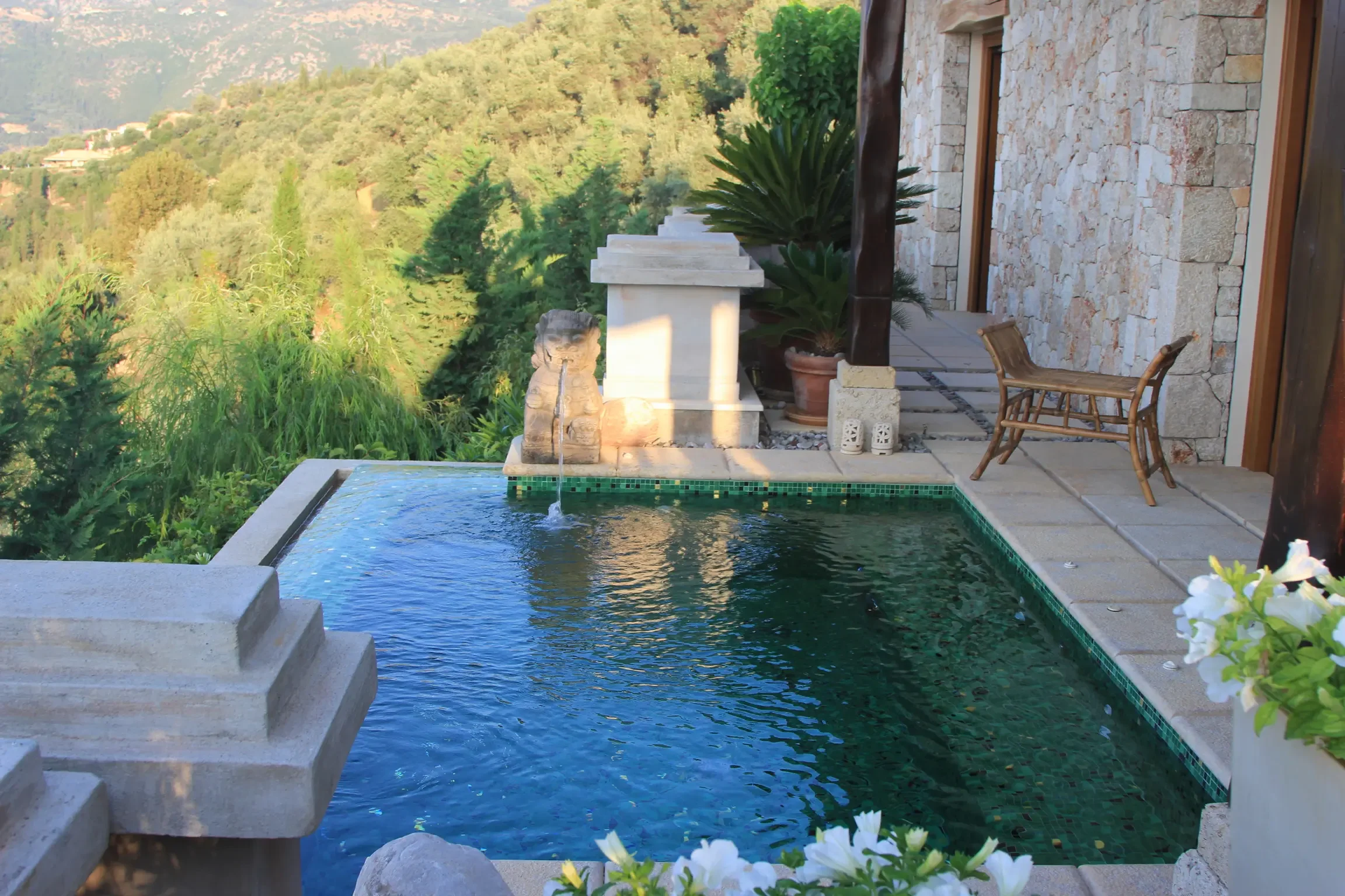 Buddha-Pool-3.webp