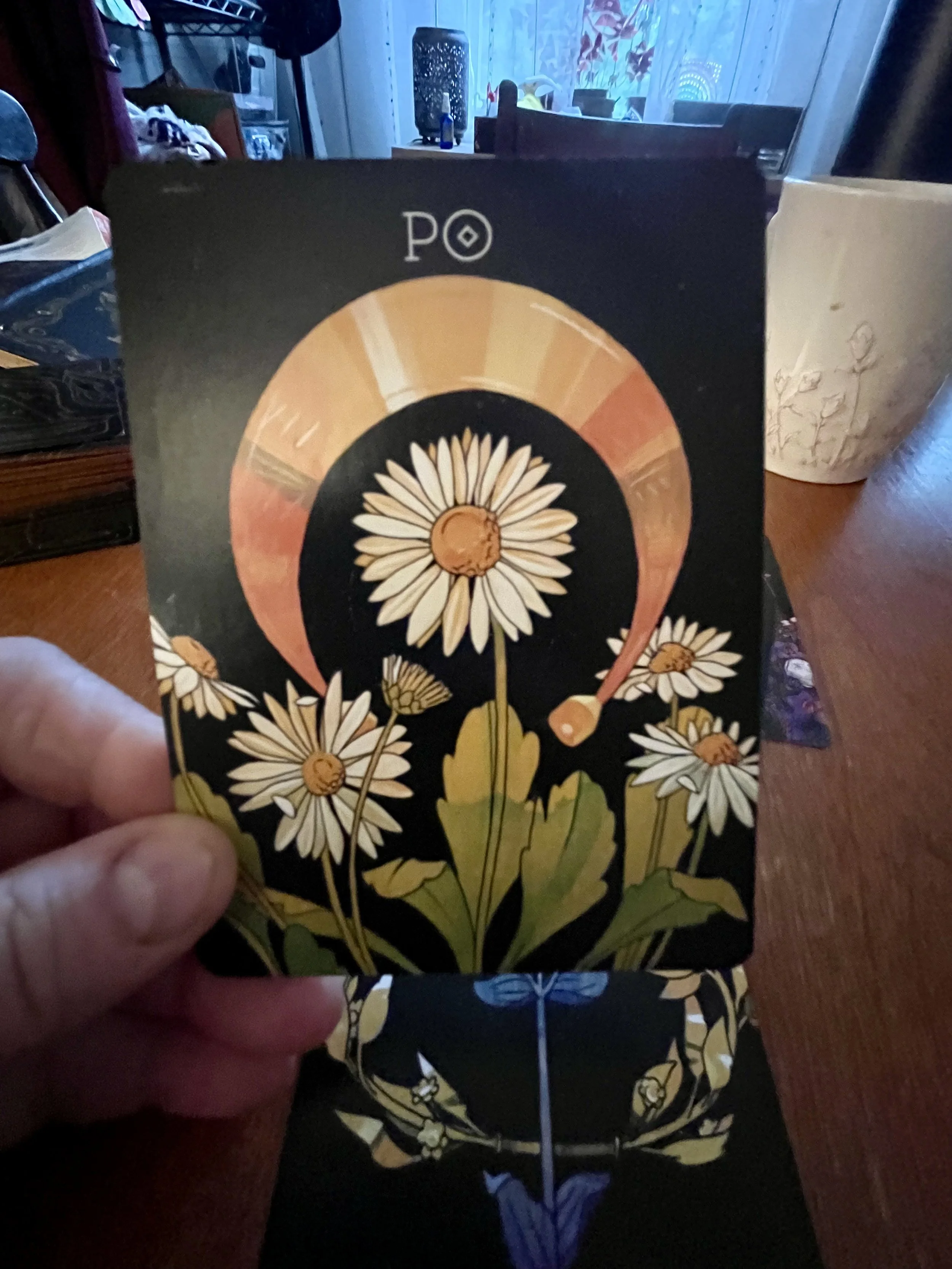 A tarot card featuring daisies and a sun symbol, with a rainbow or circle of warm colors at the top, held in a person's hand.