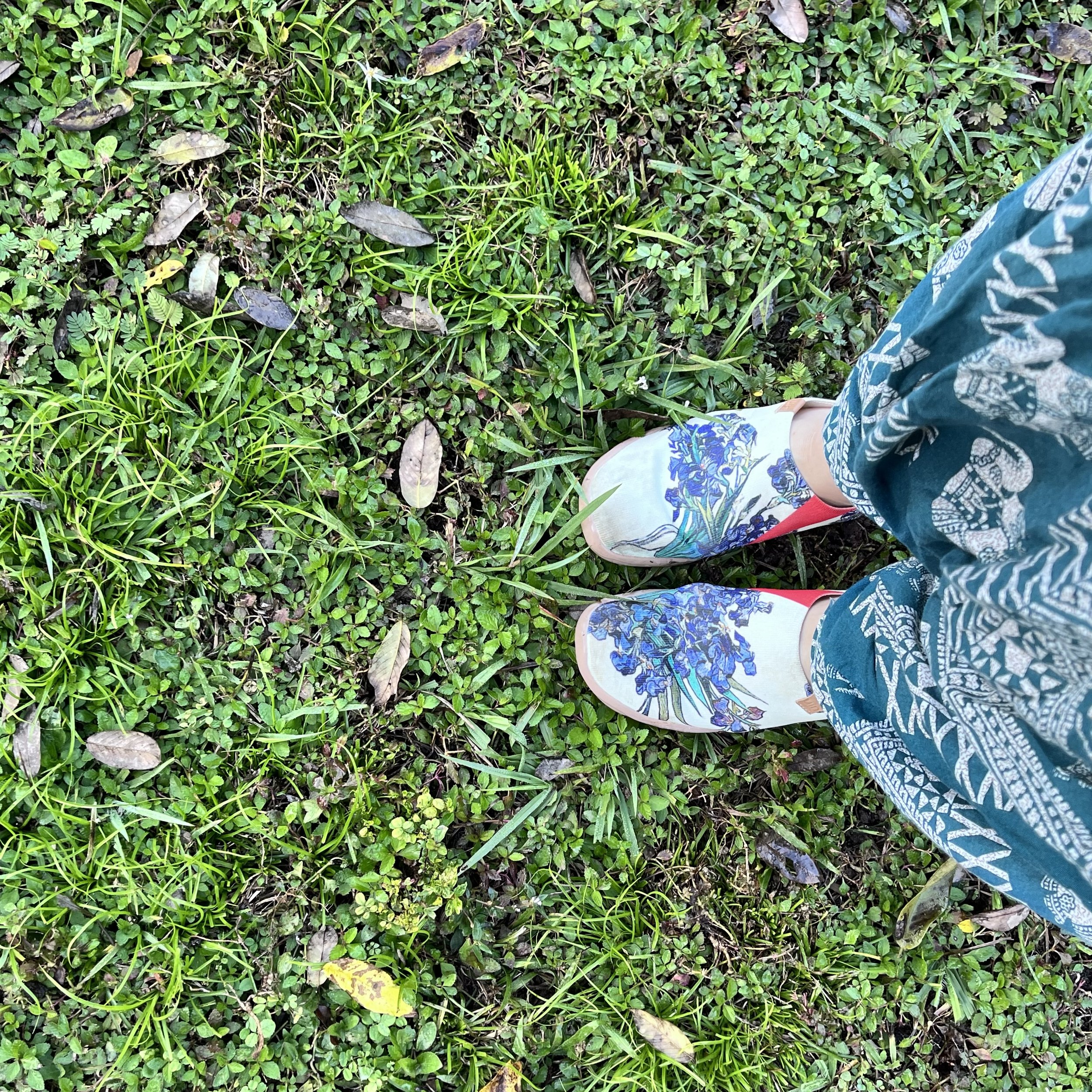 Top view of a person's legs and feet standing on green grass and small plants, wearing colorful patterned pants and floral-patterned shoes. Grounded in Belize.