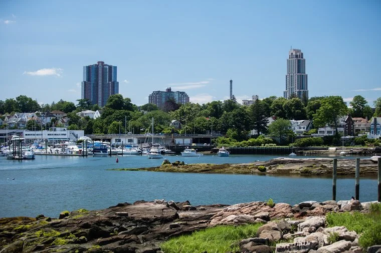 A harbor with boats docked, rocky shoreline in the foreground, lush green trees, and a city skyline with tall buildings in the background under a clear blue sky.