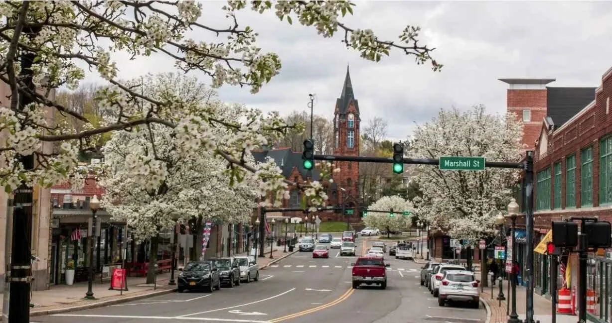 Street scene in a small town with blooming trees, cars parked along the sides, a church with a tall steeple in the background, and a traffic light showing green, under a cloudy sky.