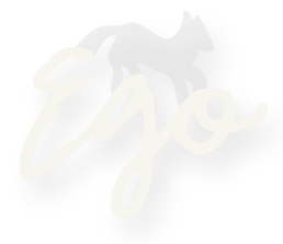 Ego