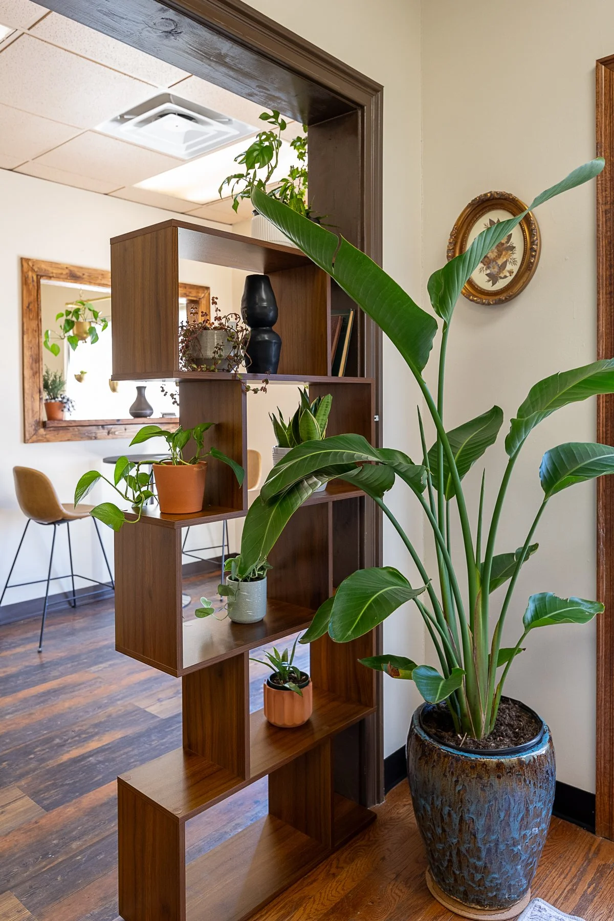 Plant Styling & Space Refresh