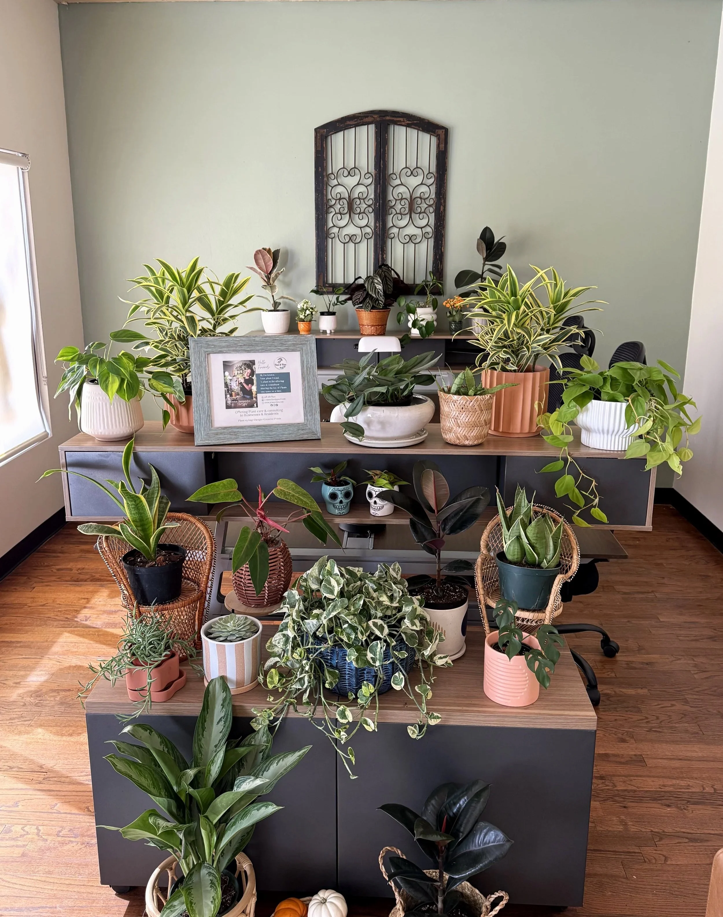 Event Styling & Plant Staging