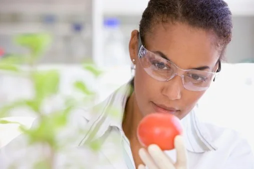Looking for your next food quality or food safety job? Food Safety Recruiter is the leading provider of food quality and safety recruiting services in the U.S.