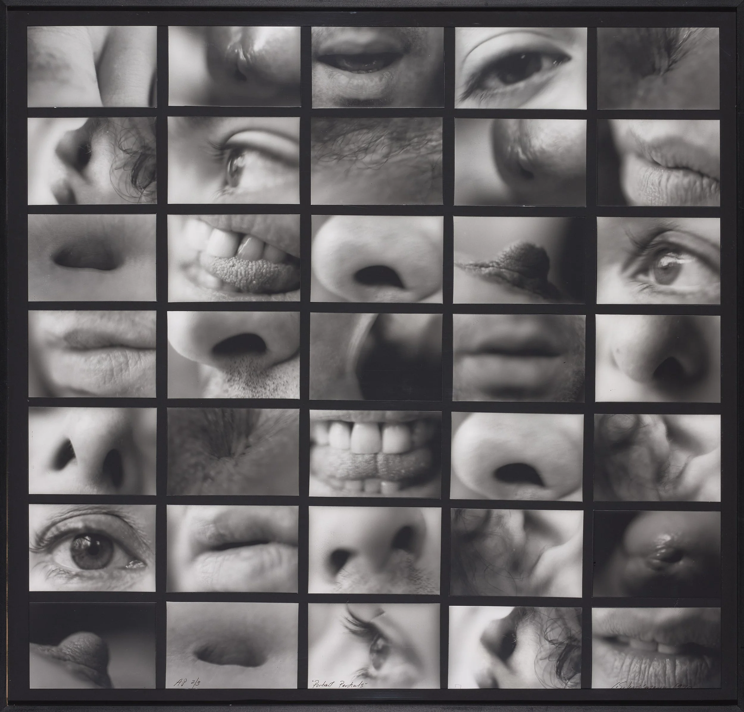 Portrait Partials (2).jpg