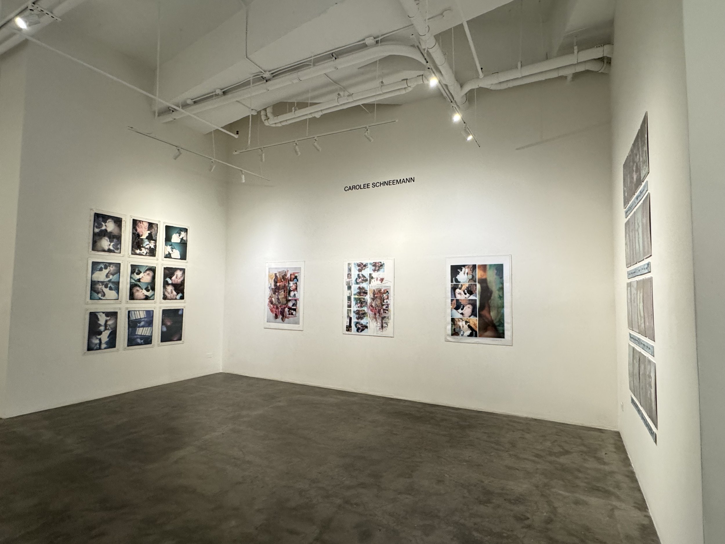 Leonovich Gallery Space.jpeg