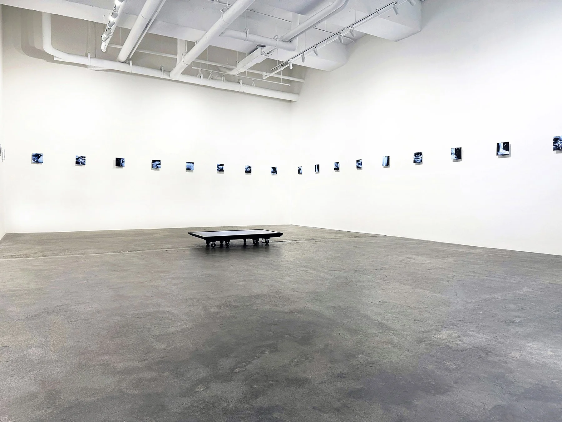 Humann_Leonovich Gallery_8_Small.jpg