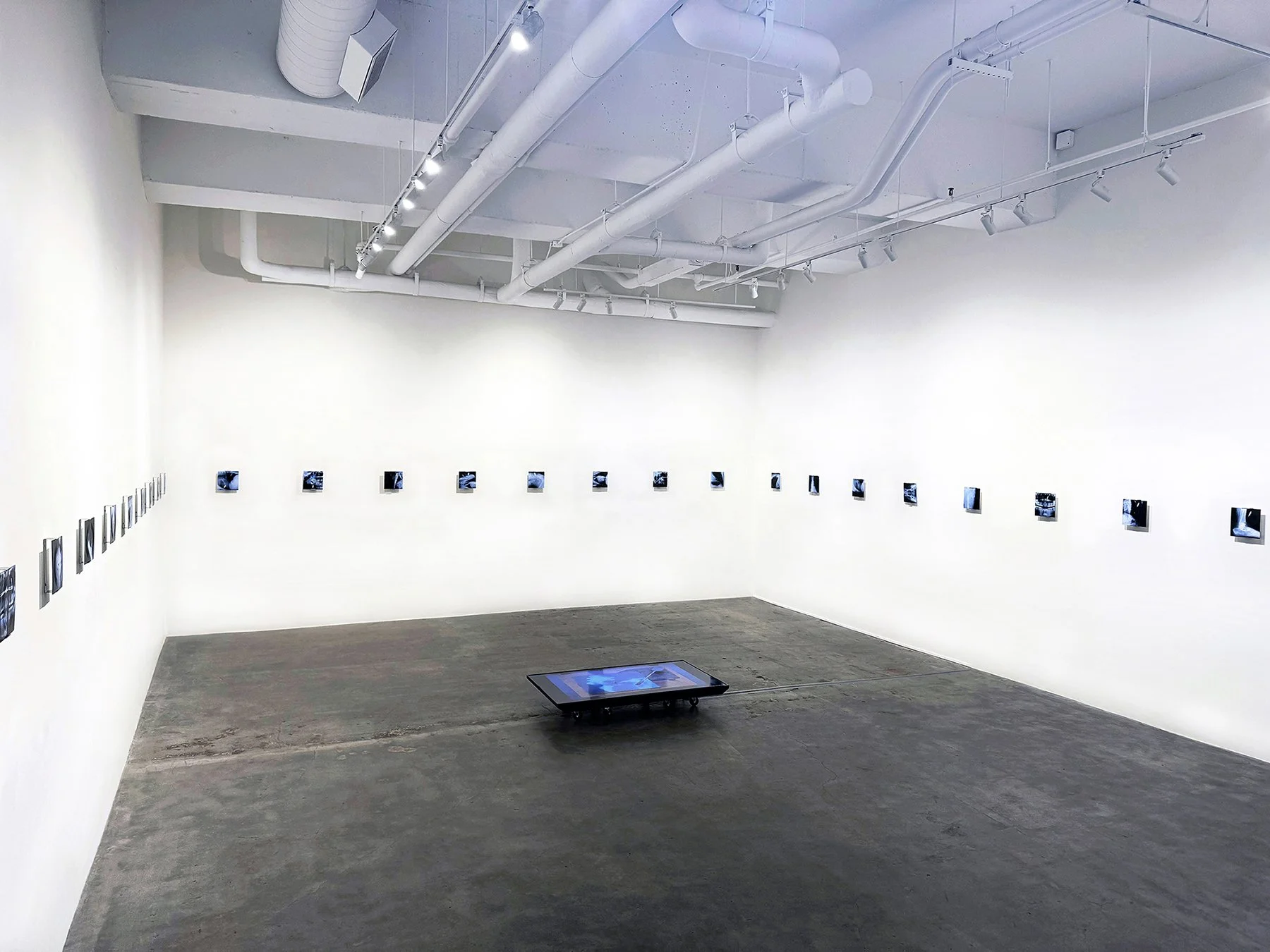 Humann_Leonovich Gallery_2_Small.jpg