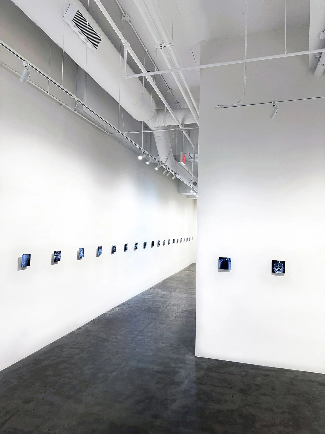 Humann_Leonovich Gallery_3_Small.jpg