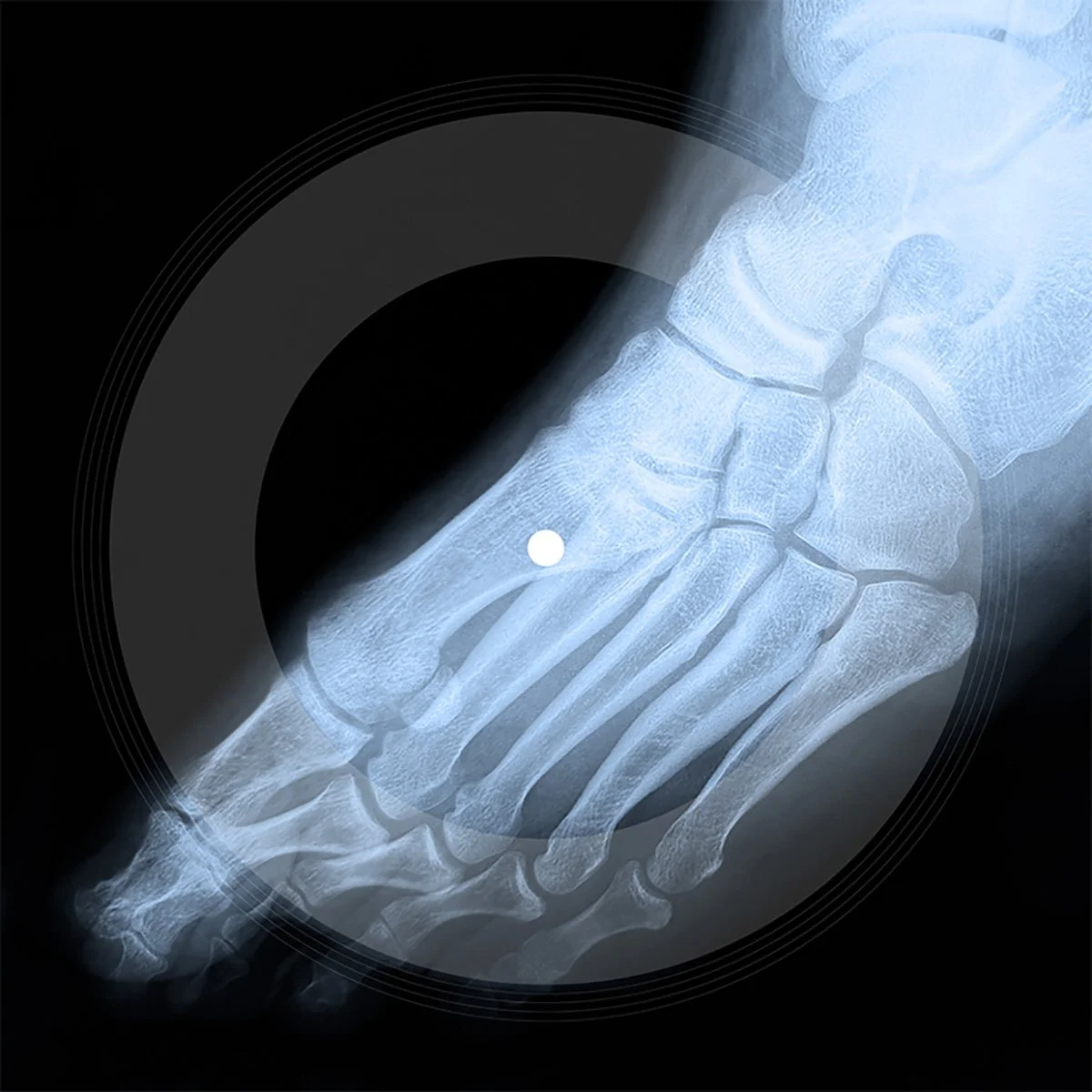 Soundcloud LIFE AIN'T FUNNY Album Art.jpg