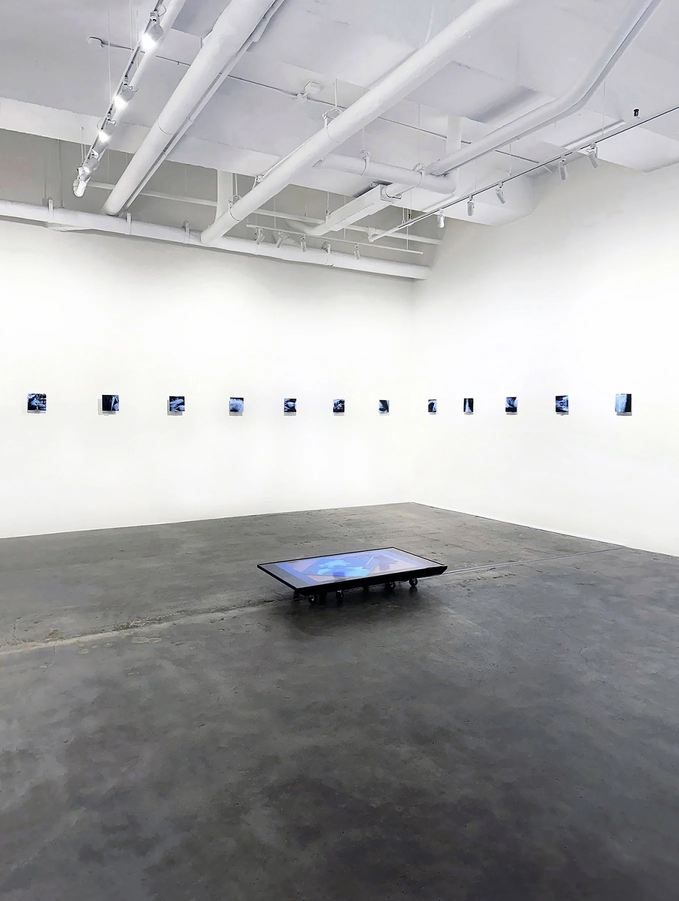 Humann_Leonovich Gallery_1_Small.jpg