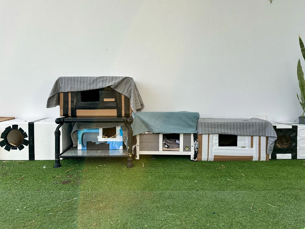 Cat_hotel_02.jpg