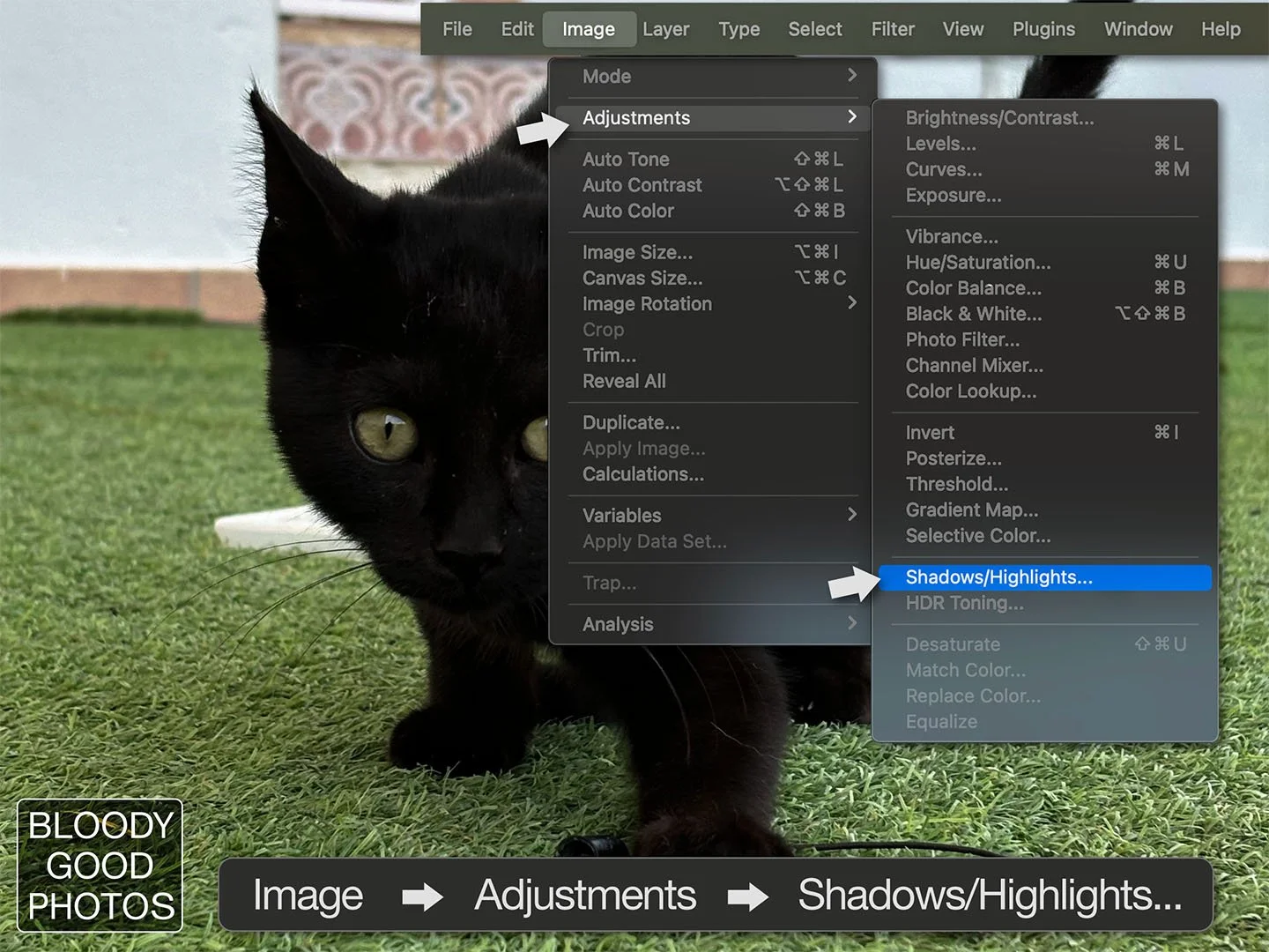 BlackCat_Original_Shad_High.jpg