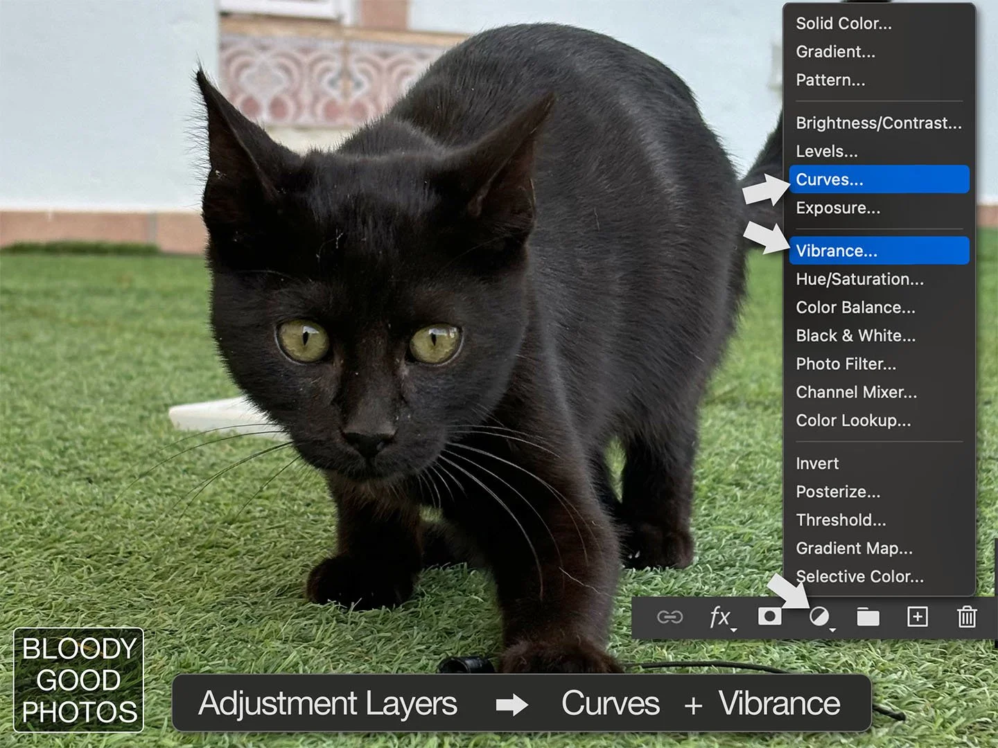 BlackCat_Original_Curve_Vibr.jpg