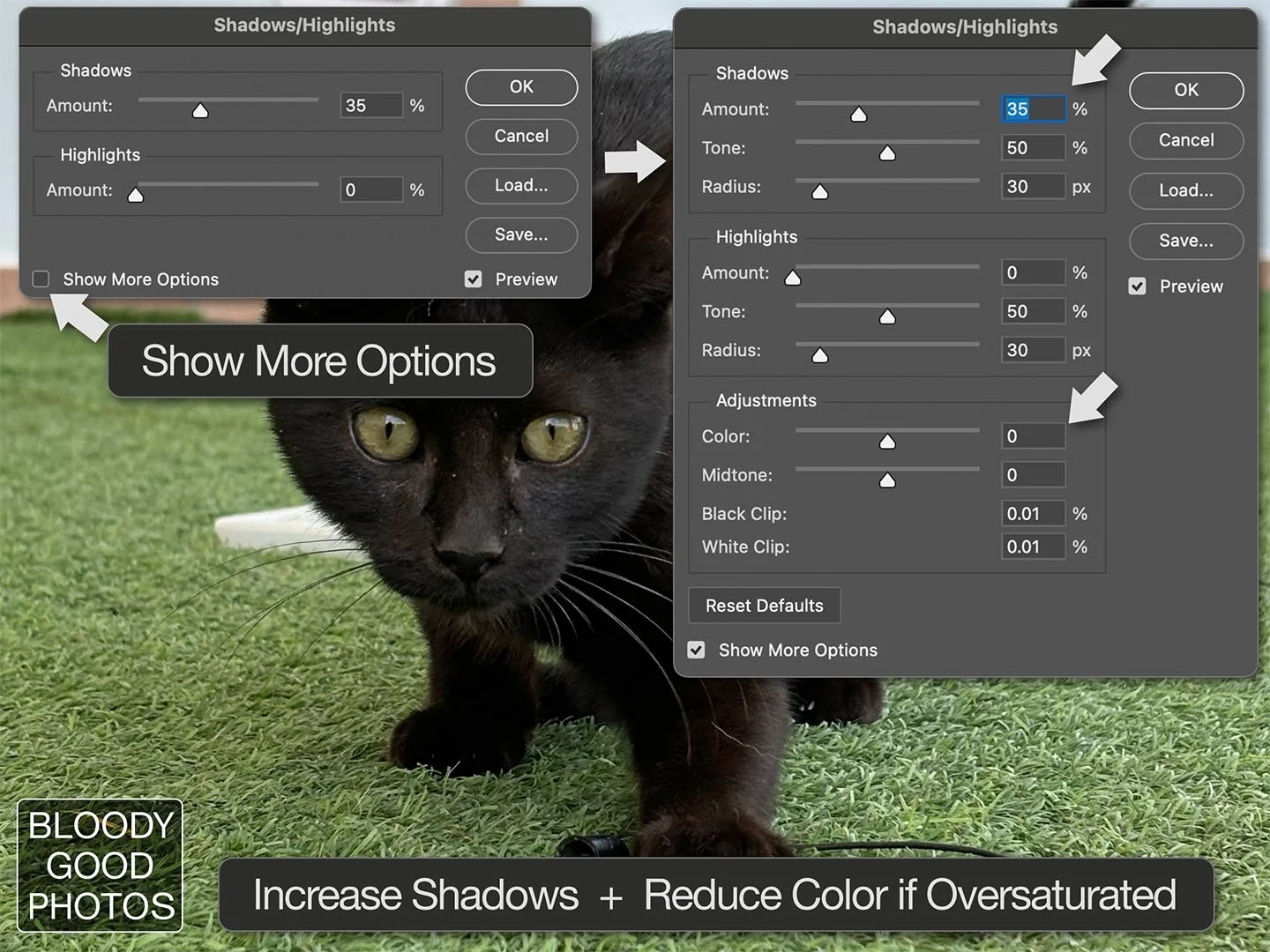 BlackCat_Original_Shad_High_Options.jpg