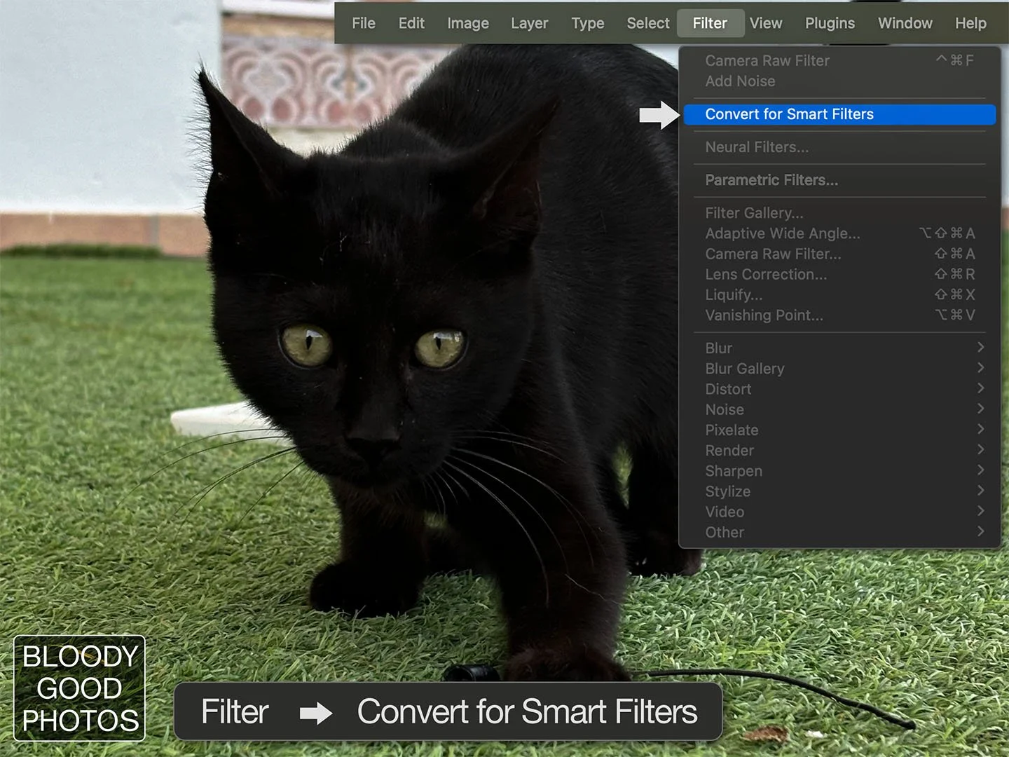BlackCat_Original_Smart.jpg