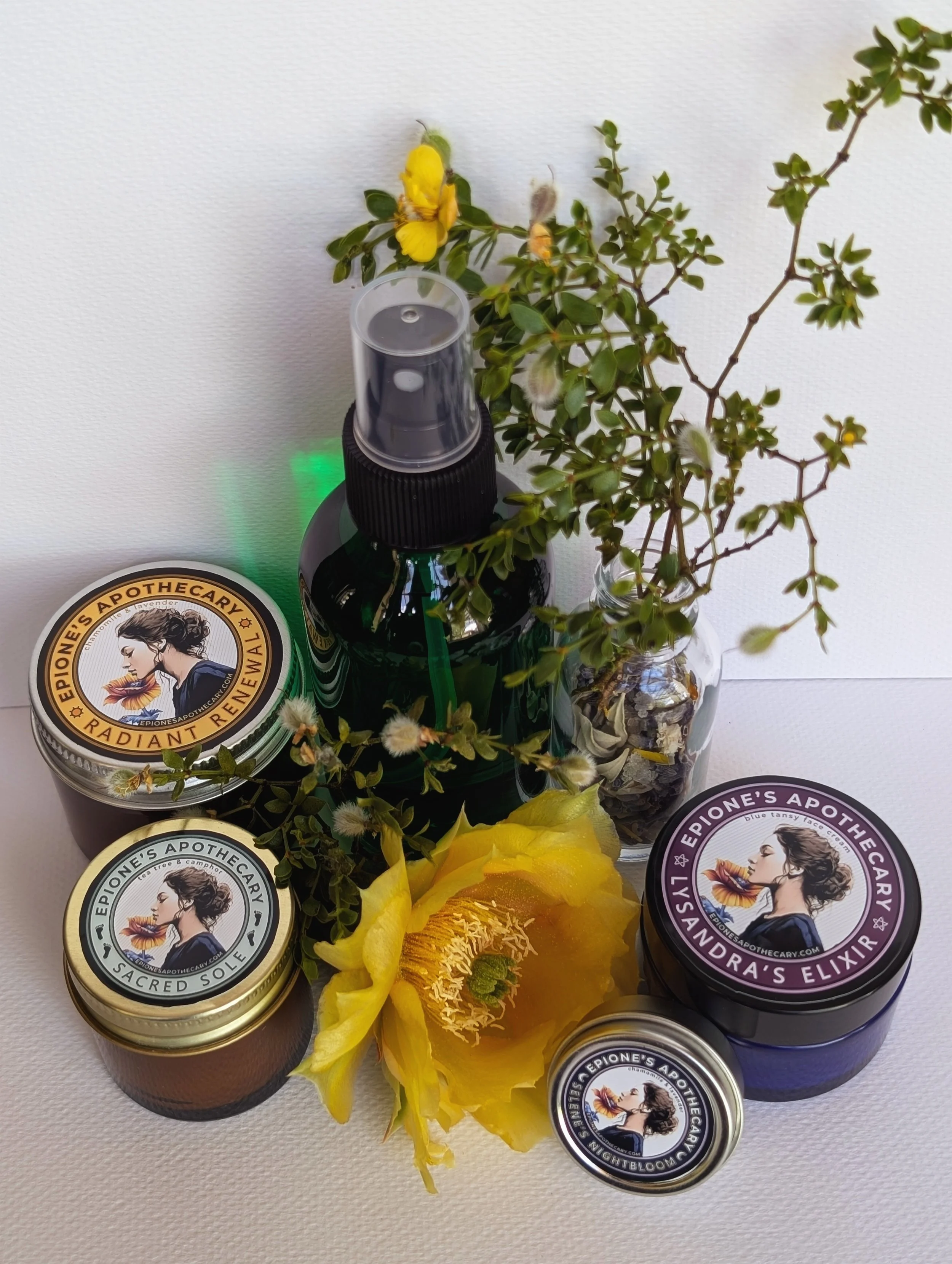 Founder's Circle Subscription