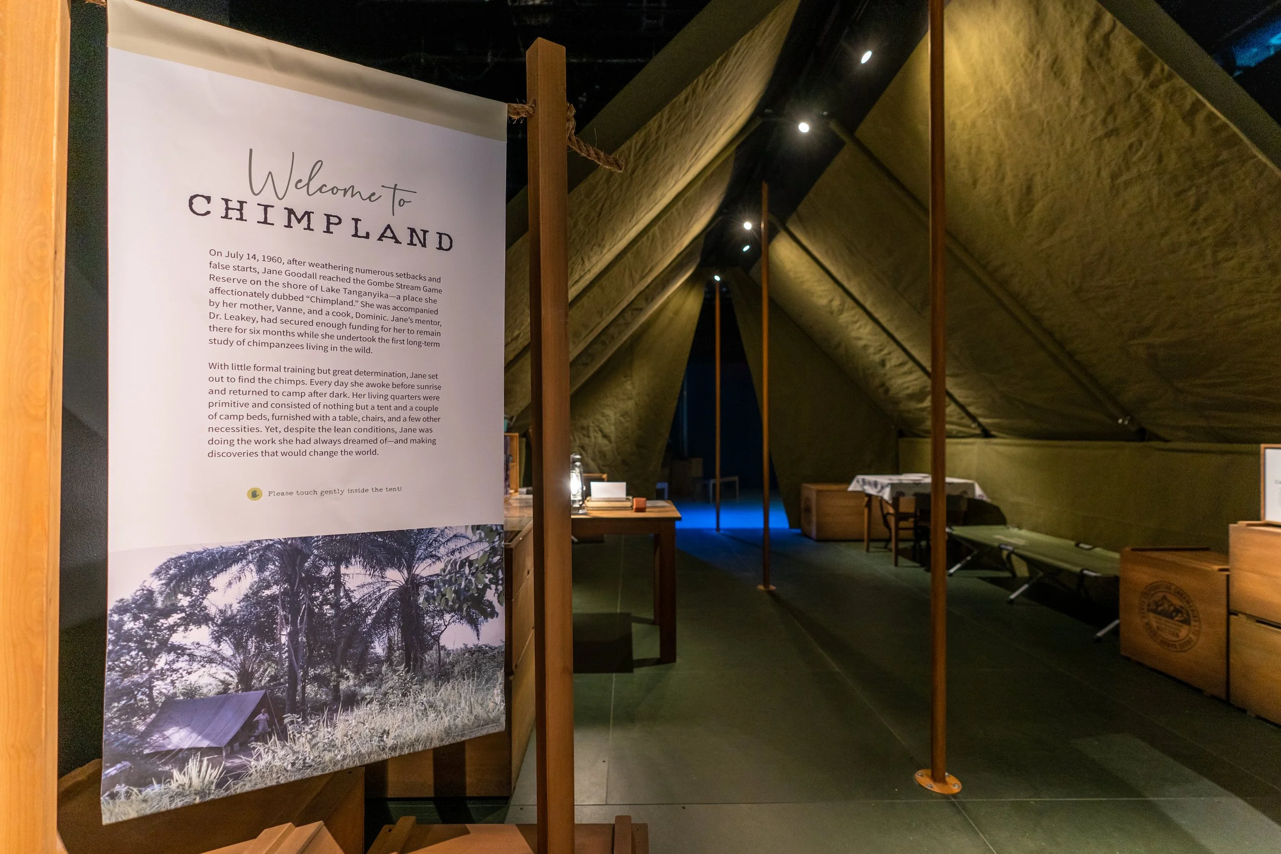 NatGeo-BecomingJaneExhibitOpening(TaylorMickal)(6).jpg