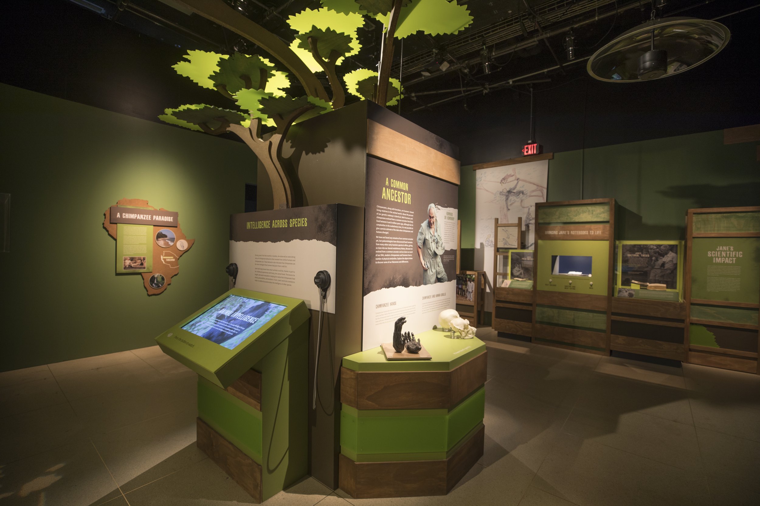 Becoming Jane Exhibit_20191204_0042.jpg