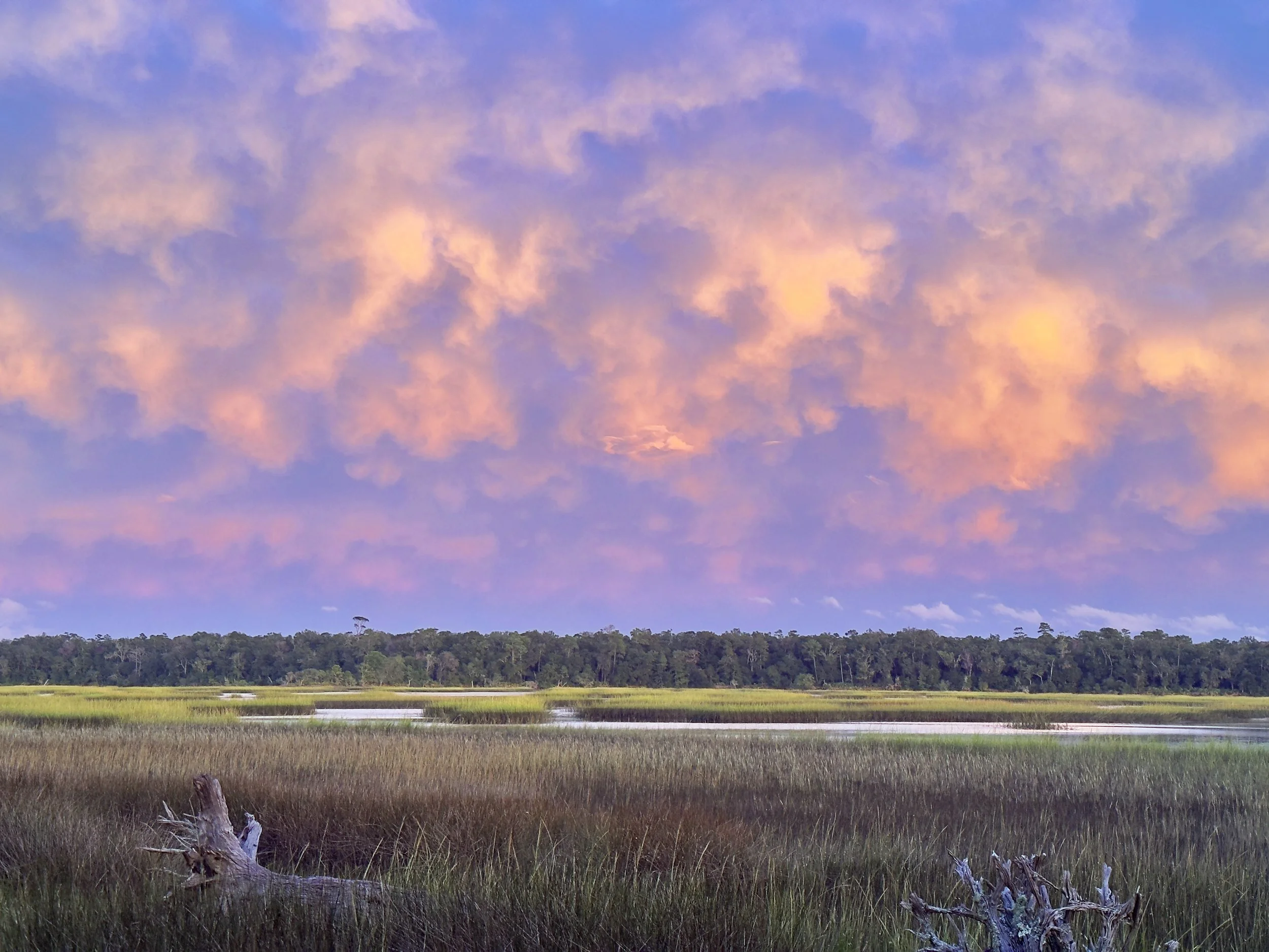 IMG_6049 (1) copy.jpg